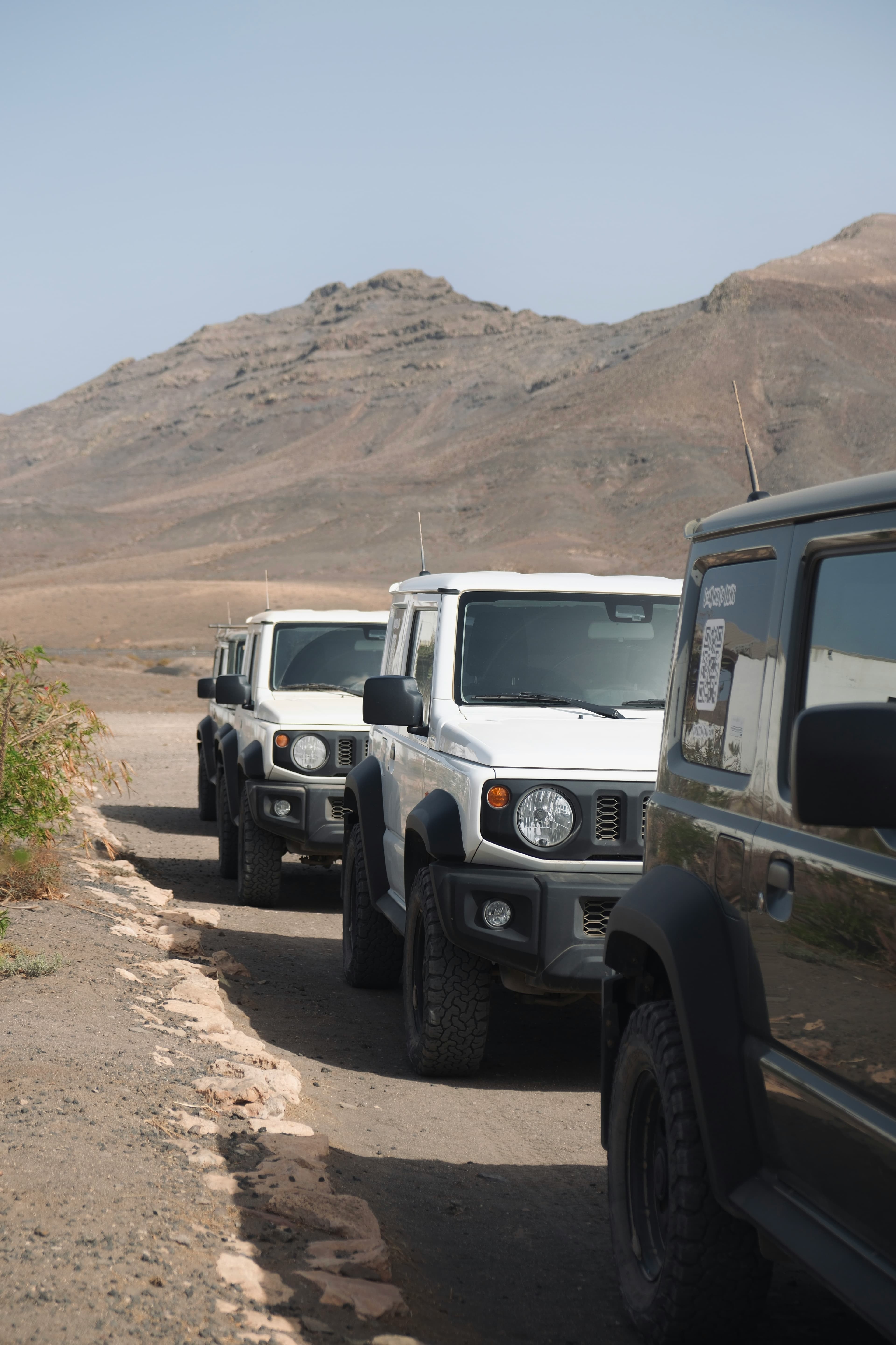 Flotilla de vehiculos en carretera